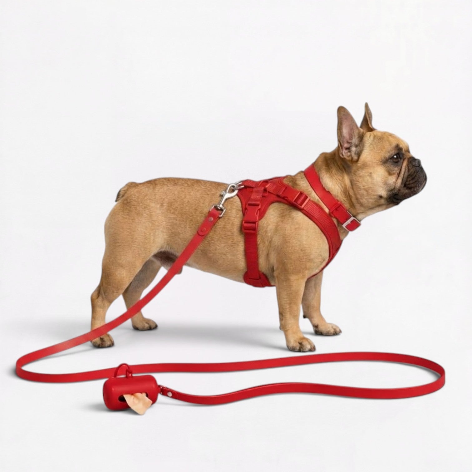 PawFlex-Frenchie-Soft-Neoprene-Gear-Set.jpg