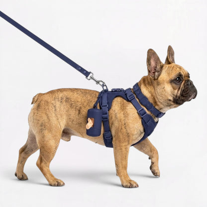 PawFlex-Frenchie-Soft-Neoprene-Gear-Set.jpg