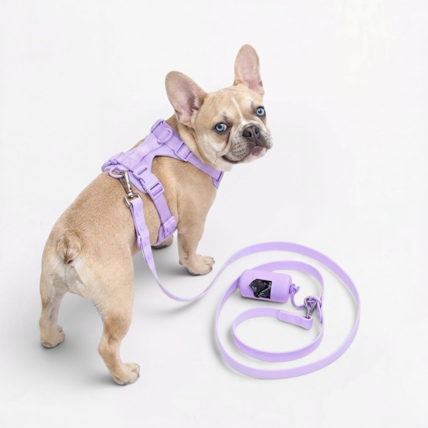 PawFlex-Frenchie-Soft-Neoprene-Gear-Set.jpg