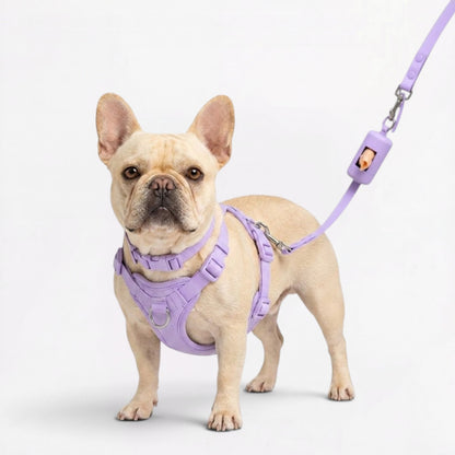 PawFlex-Frenchie-Soft-Neoprene-Gear-Set.jpg