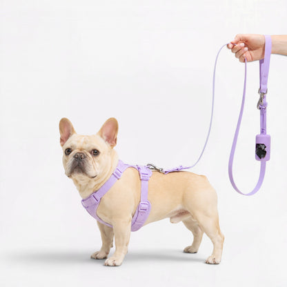 PawFlex-Frenchie-Soft-Neoprene-Gear-Set.jpg
