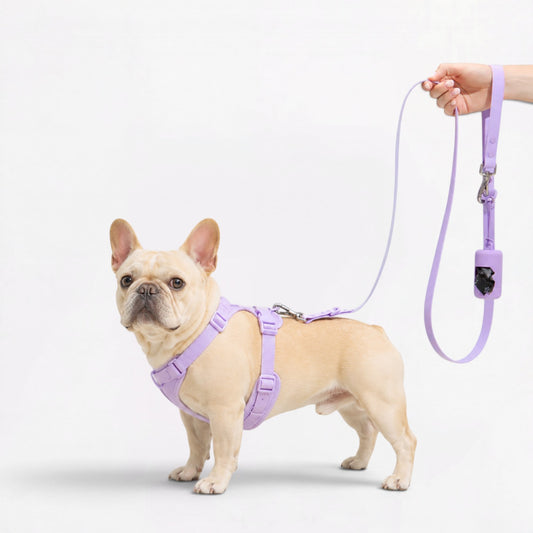 PawFlex-Frenchie-Soft-Neoprene-Gear-Set.jpg