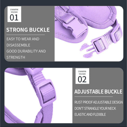 PawFlex-Frenchie-Soft-Neoprene-Gear-Set.jpg