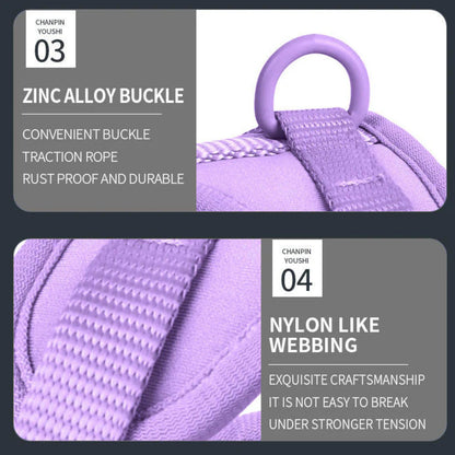 PawFlex-Frenchie-Soft-Neoprene-Gear-Set.jpg
