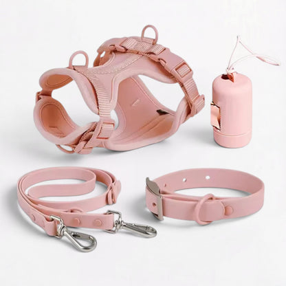 PawFlex-Frenchie-Soft-Neoprene-Gear-Set.jpg
