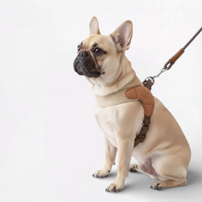 PawGent-Frenchie-Harness-Leash-Set.jpg