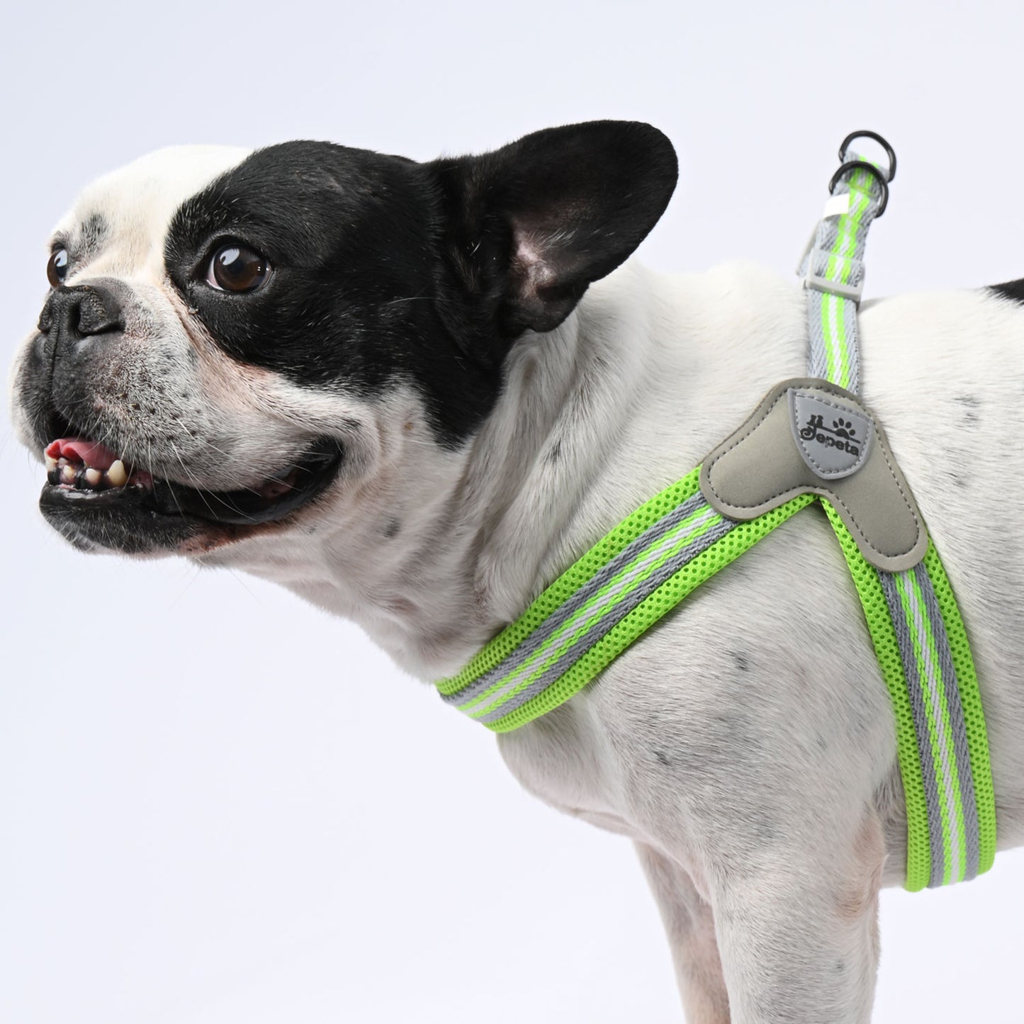 PawGrip-No-Pull-French bulldog-Harness-with-Leash