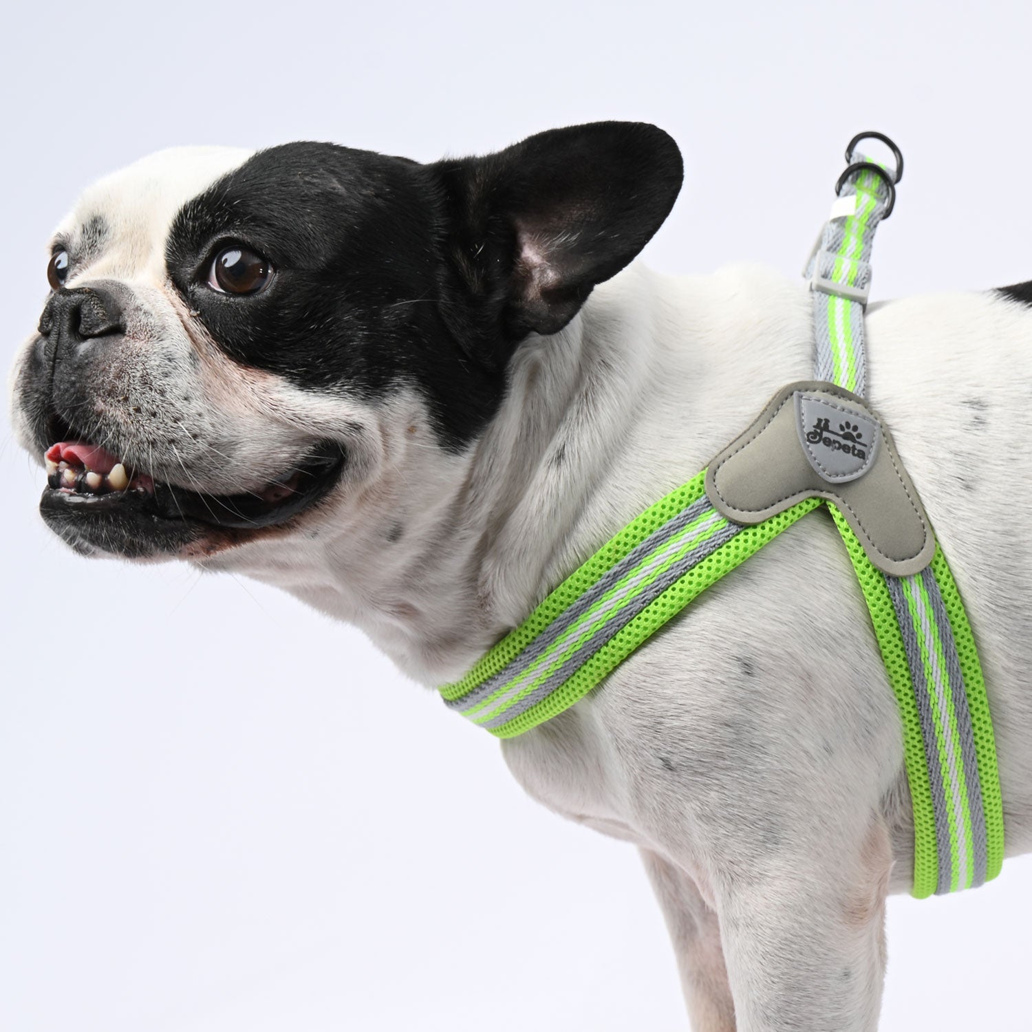 PawGrip-No-Pull-French bulldog-Harness-with-Leash