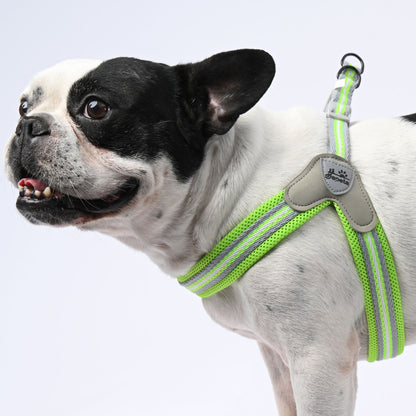 PawGrip-No-Pull-French bulldog-Harness-with-Leash