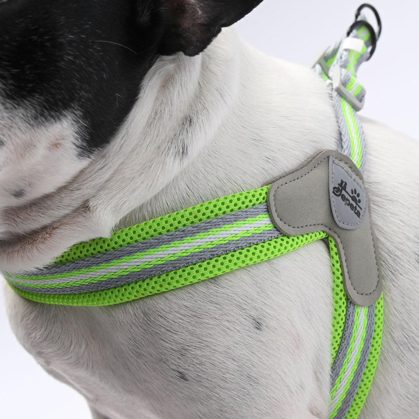 PawGrip-No-Pull-Frenchie-Harness-with-Leash
