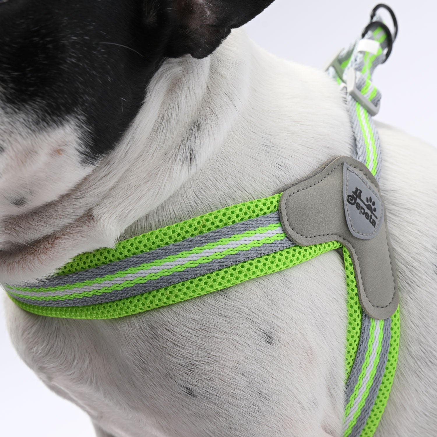 PawGrip-No-Pull-Frenchie-Harness-with-Leash