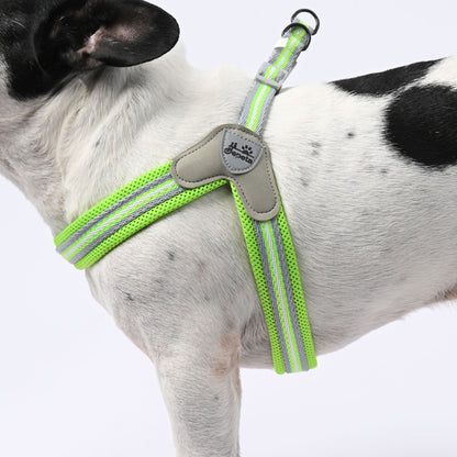 PawGrip-No-Pull-Frenchie-Harness