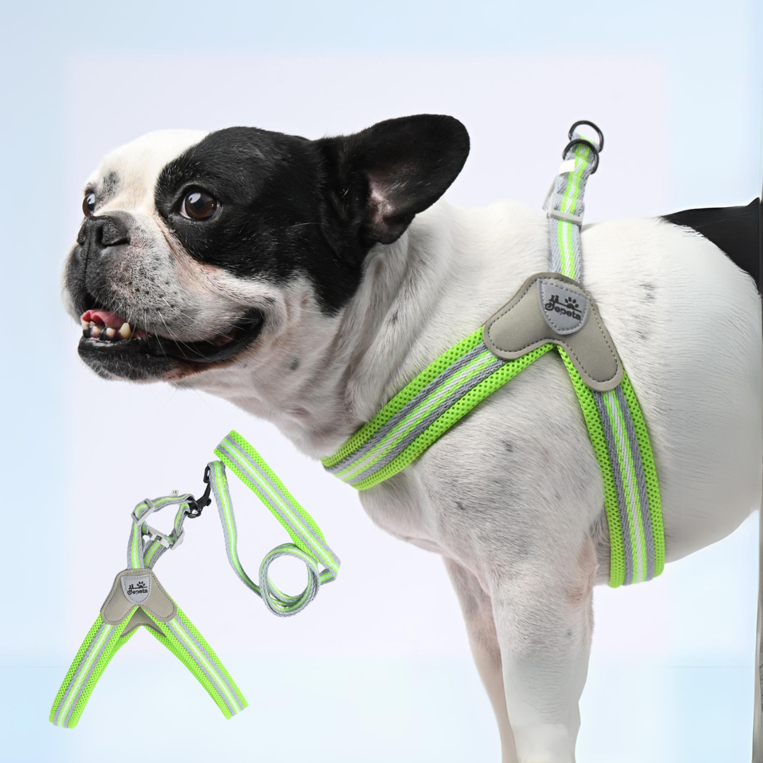 PawGrip-No-Pull-Frenchie-Harness with leash