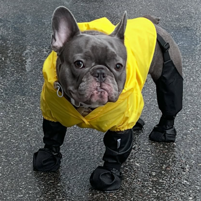PawGuard_French_Bulldog_Footwear