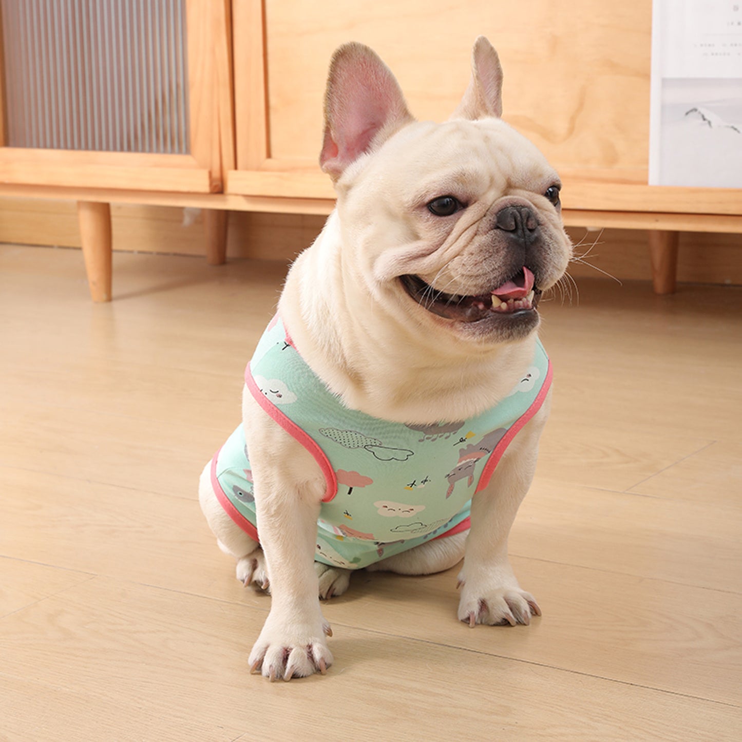 PawJoy-French-Bulldog-Physiological-Pants.jpg
