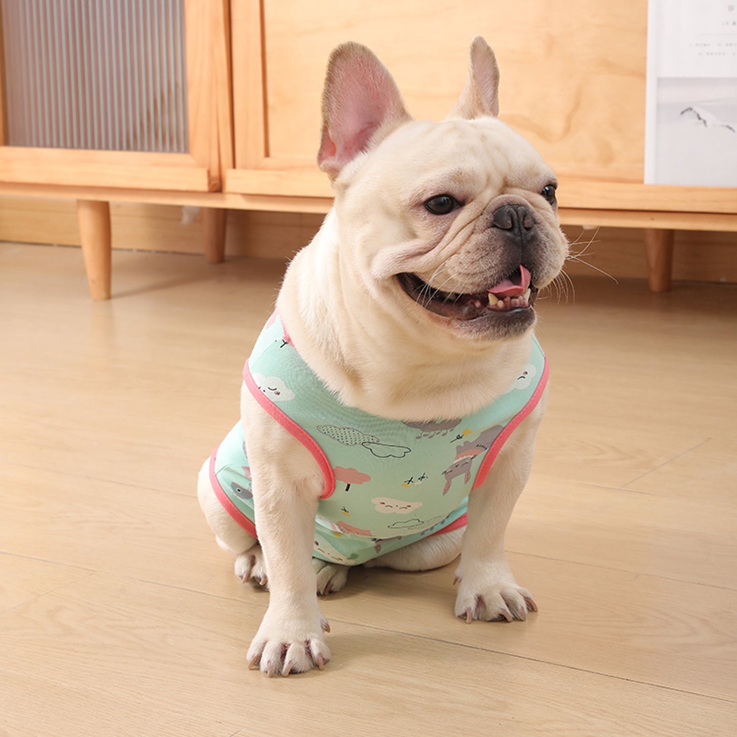 PawJoy-French-Bulldog-Physiological-Pants.jpg