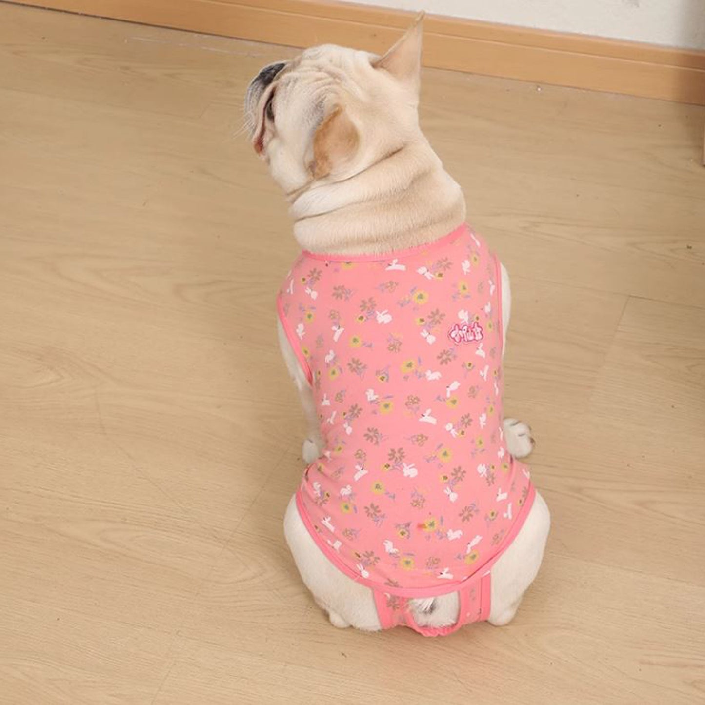 PawJoy-French-Bulldog-Physiological-Pants.jpg