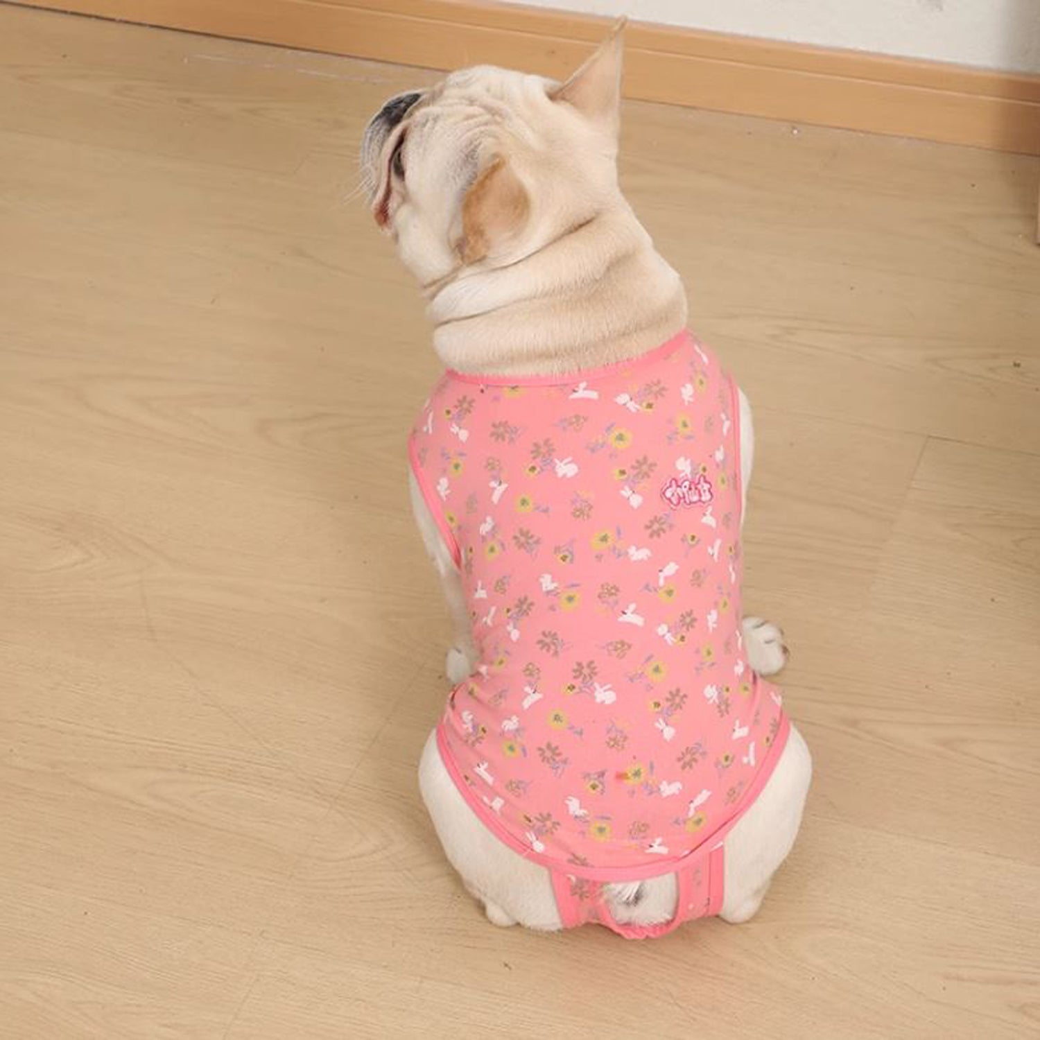 PawJoy-French-Bulldog-Physiological-Pants.jpg