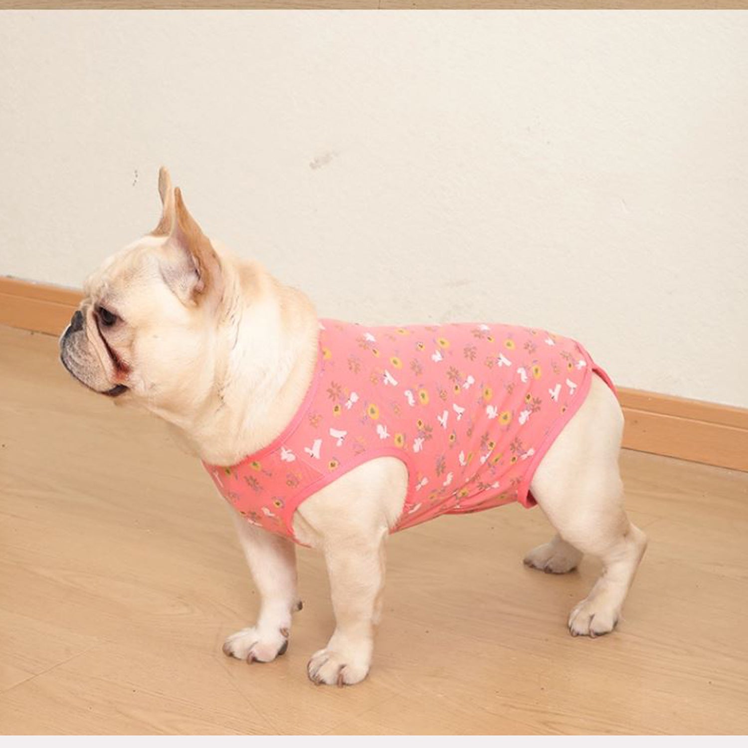 PawJoy-French-Bulldog-Physiological-Pants.jpg