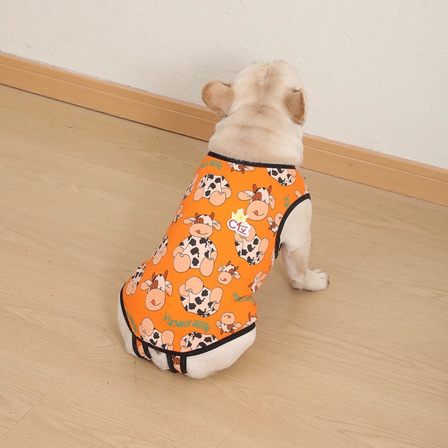 PawJoy-French-Bulldog-Physiological-Pants.jpg