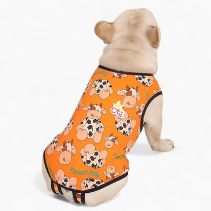 PawJoy-French-Bulldog-Physiological-Pants.jpg