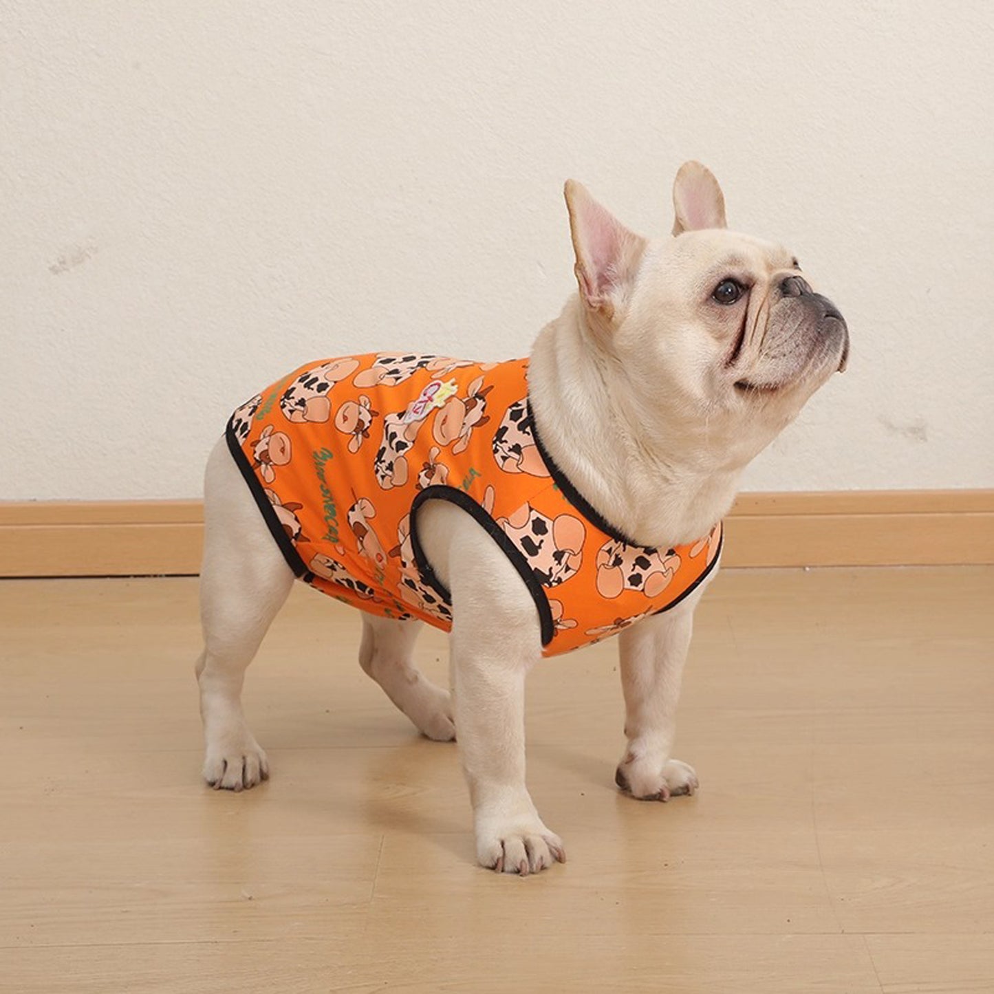 PawJoy-French-Bulldog-Physiological-Pants.jpg
