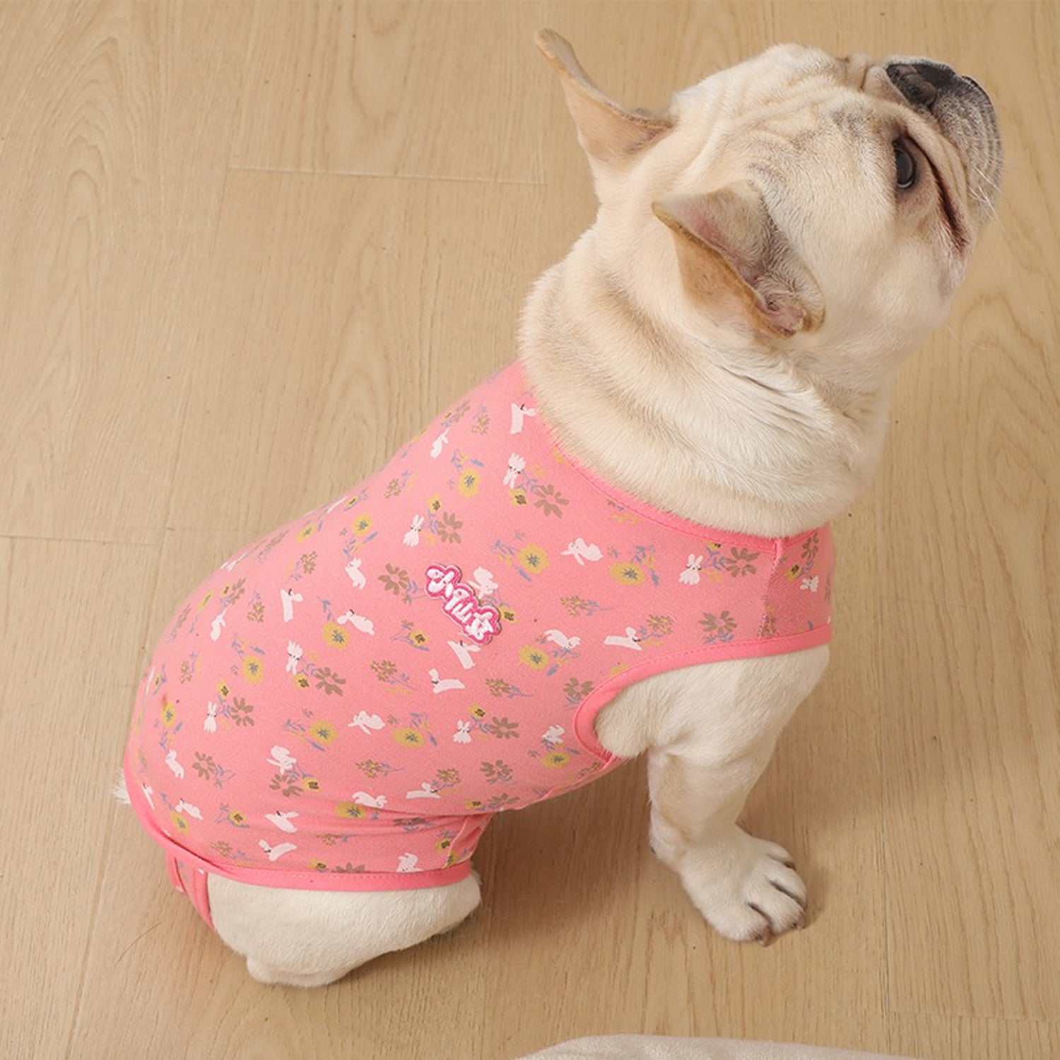 PawJoy-French-Bulldog-Physiological-Pants.jpg