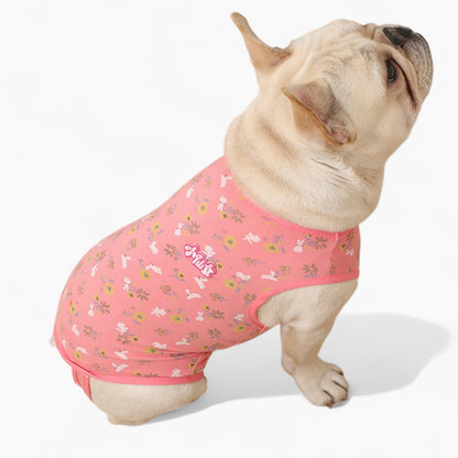 PawJoy-French-Bulldog-Physiological-Pants.jpg