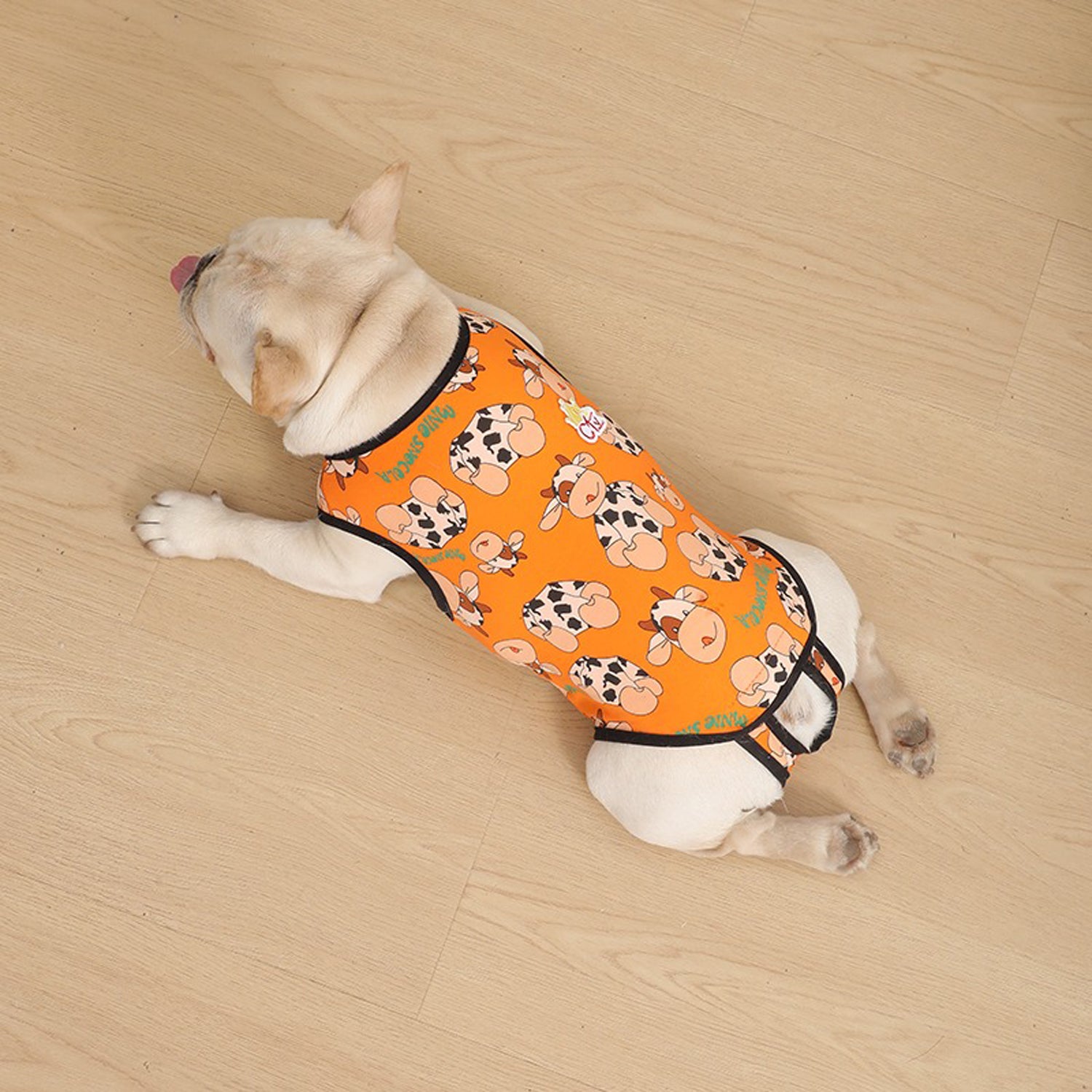 PawJoy-French-Bulldog-Physiological-Pants.jpg