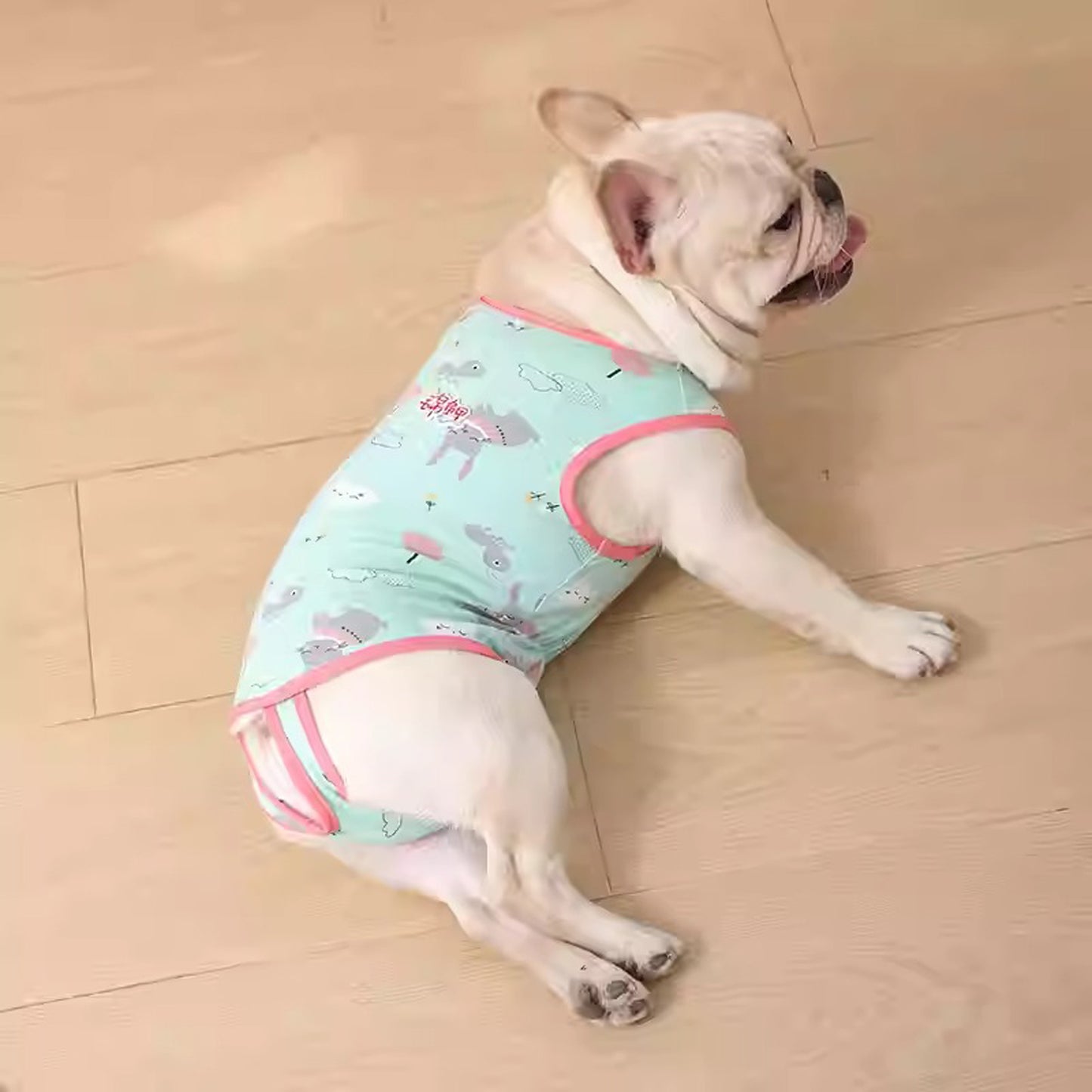 PawJoy-French-Bulldog-Physiological-Pants.jpg