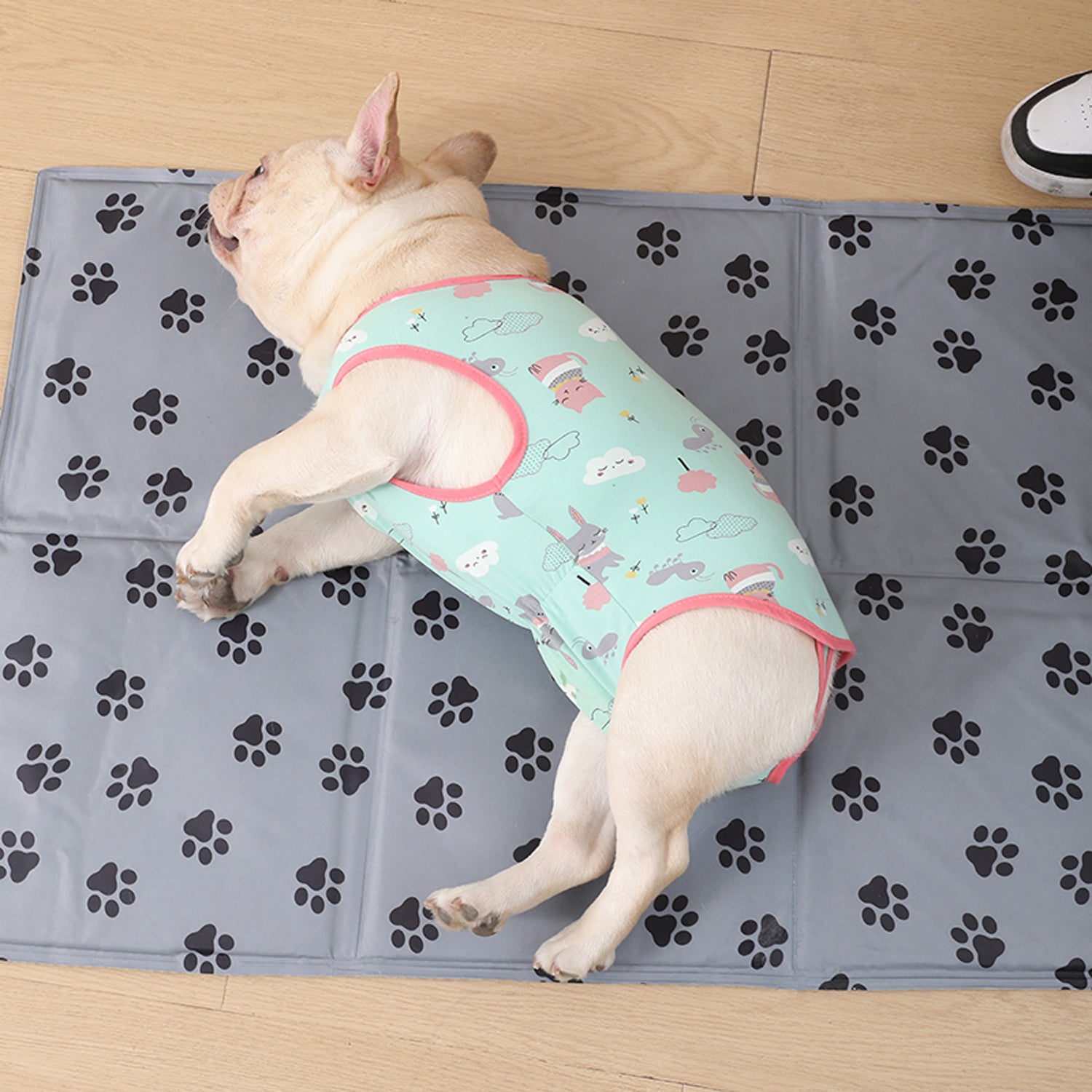 PawJoy-French-Bulldog-Physiological-Pants.jpg