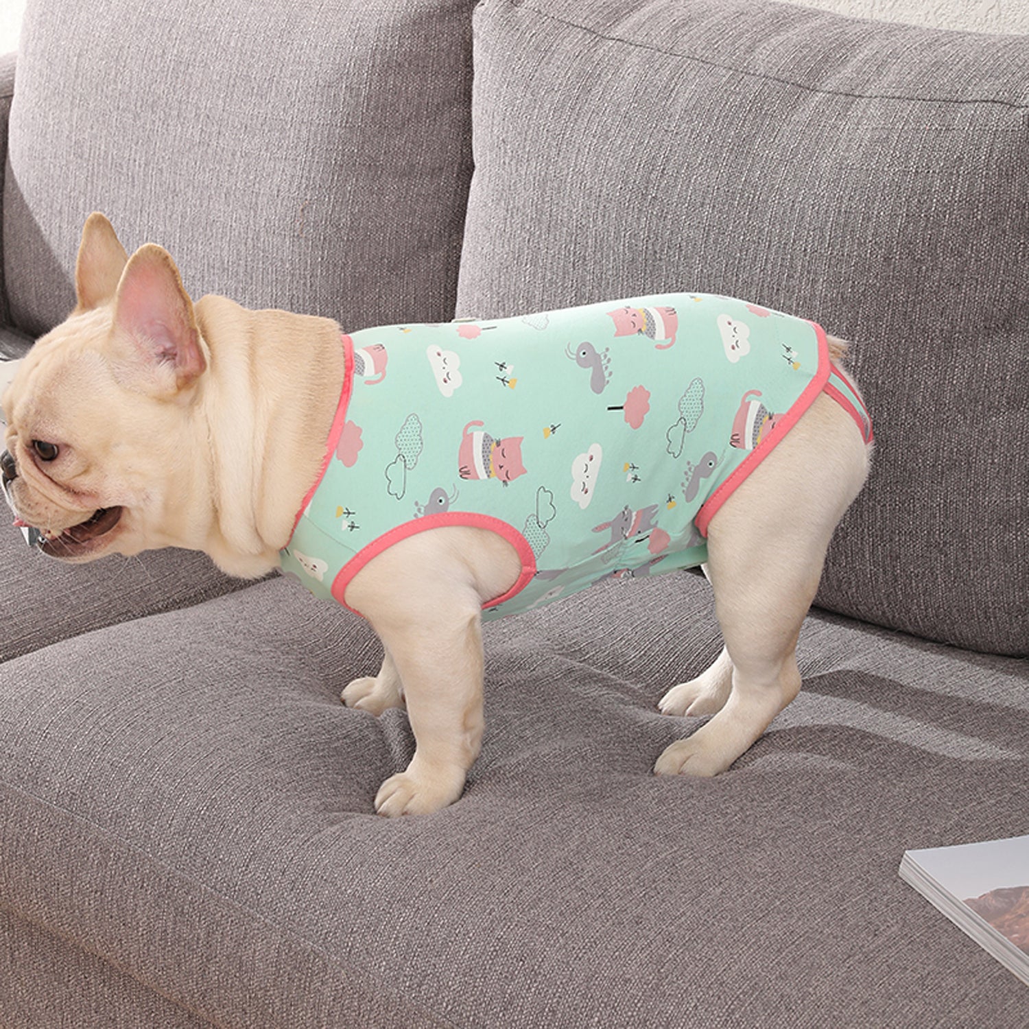 PawJoy-French-Bulldog-Physiological-Pants.jpg
