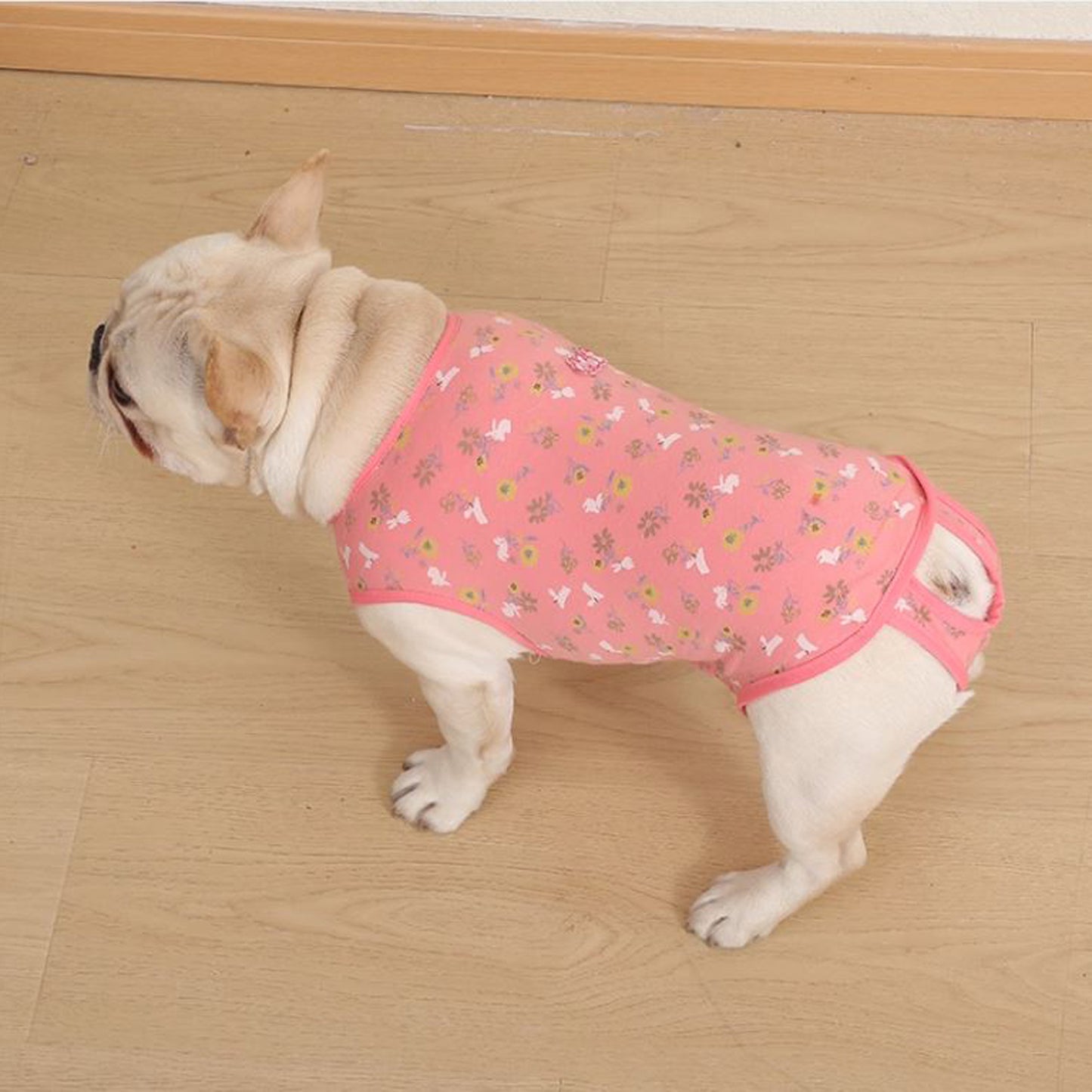 PawJoy-French-Bulldog-Physiological-Pants.jpg