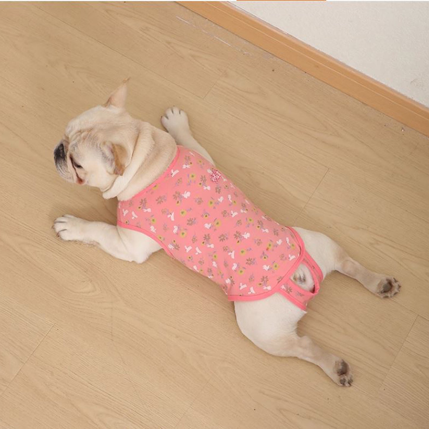 PawJoy-French-Bulldog-Physiological-Pants.jpg