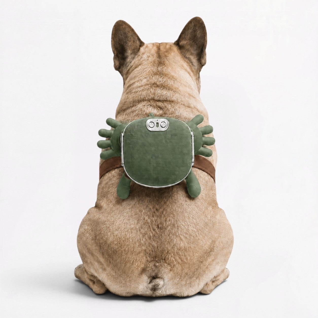 PawMass-Frenchie-Electric-Massager.jpg