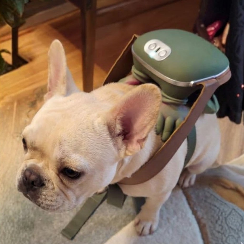 PawMass-Frenchie-Electric-Massager.jpg