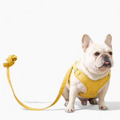 PawSecure-Frenchie-Harness-Leash-Set.jpg