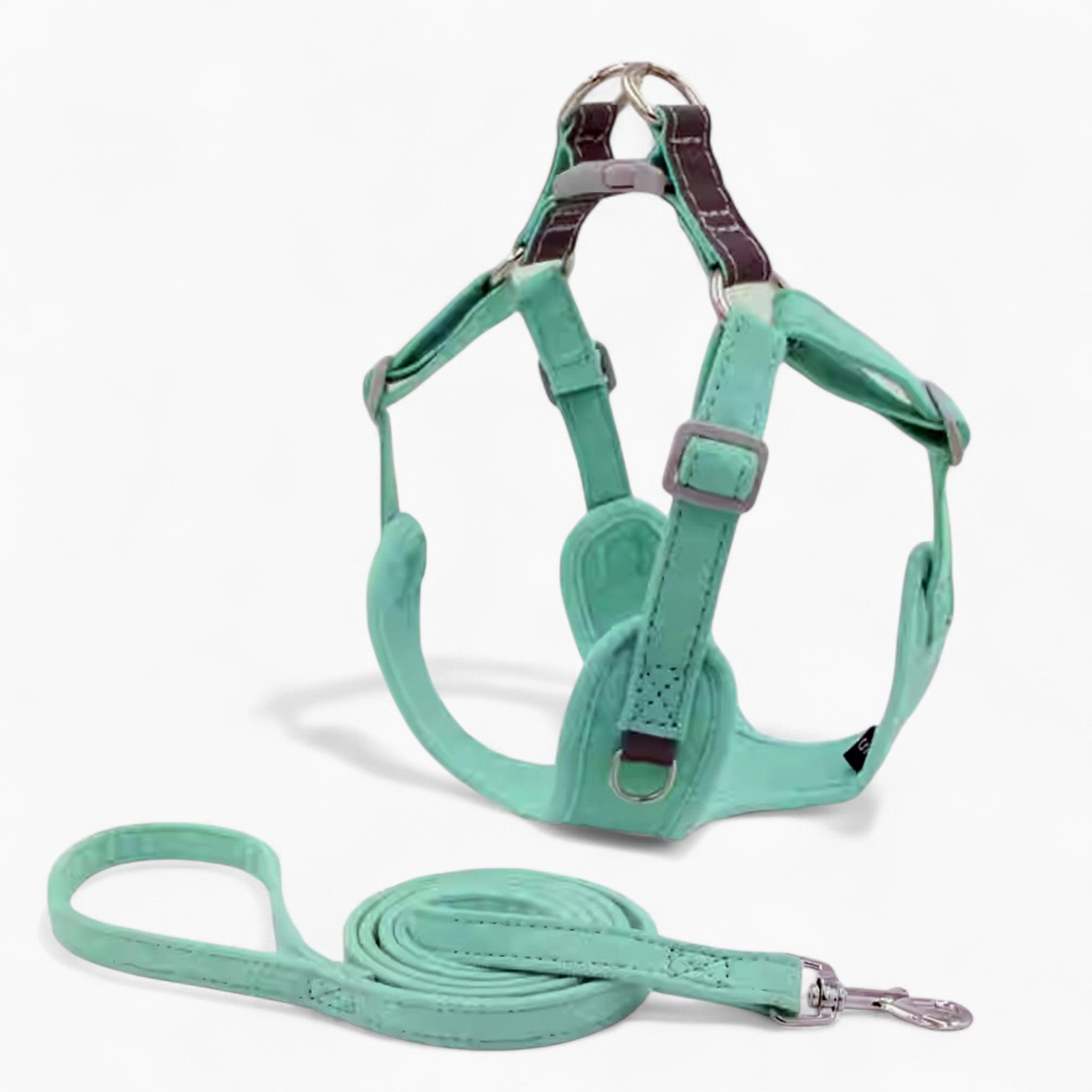 PawSecure-Frenchie-Harness-Leash-Set.jpg