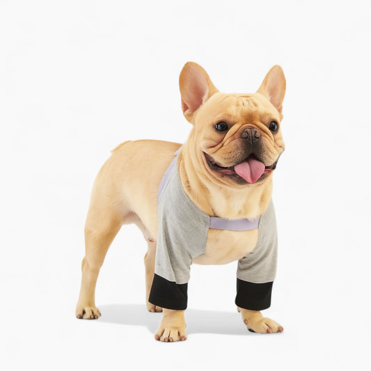 PawTex-Frenchie-Front-Leg-Recovery-Sleeve.jpg