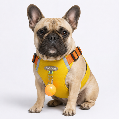 PawTrick-Frenchie-Harness-Bag-Set.jpg