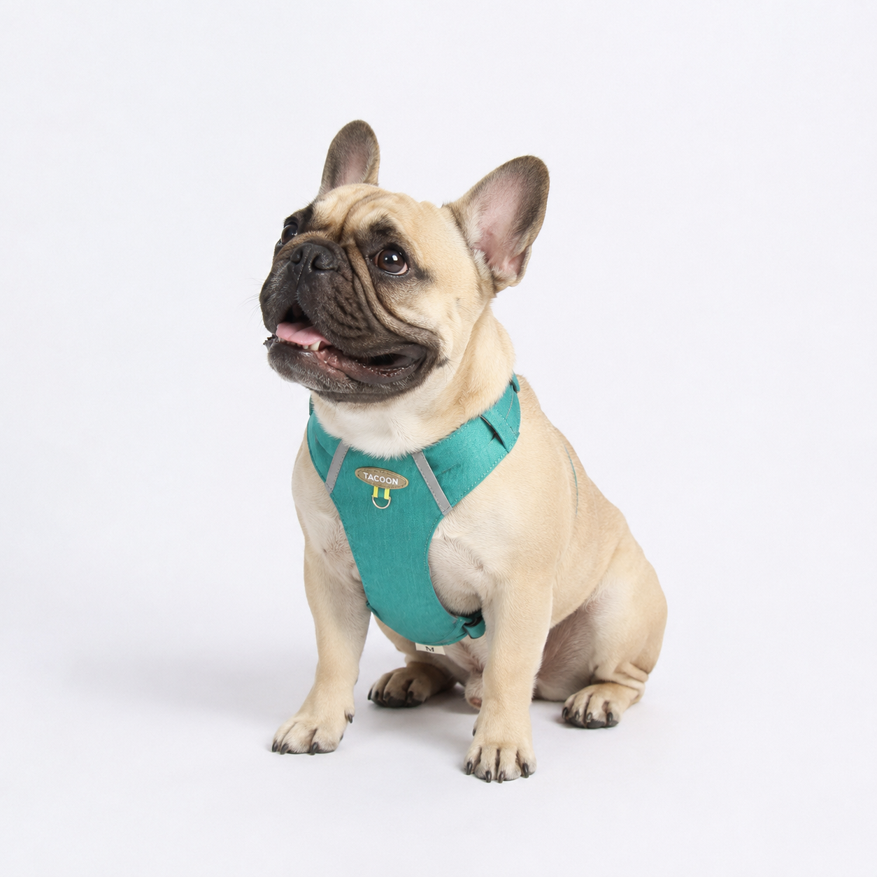 PawTrick-Frenchie-Harness-Bag-Set.jpg