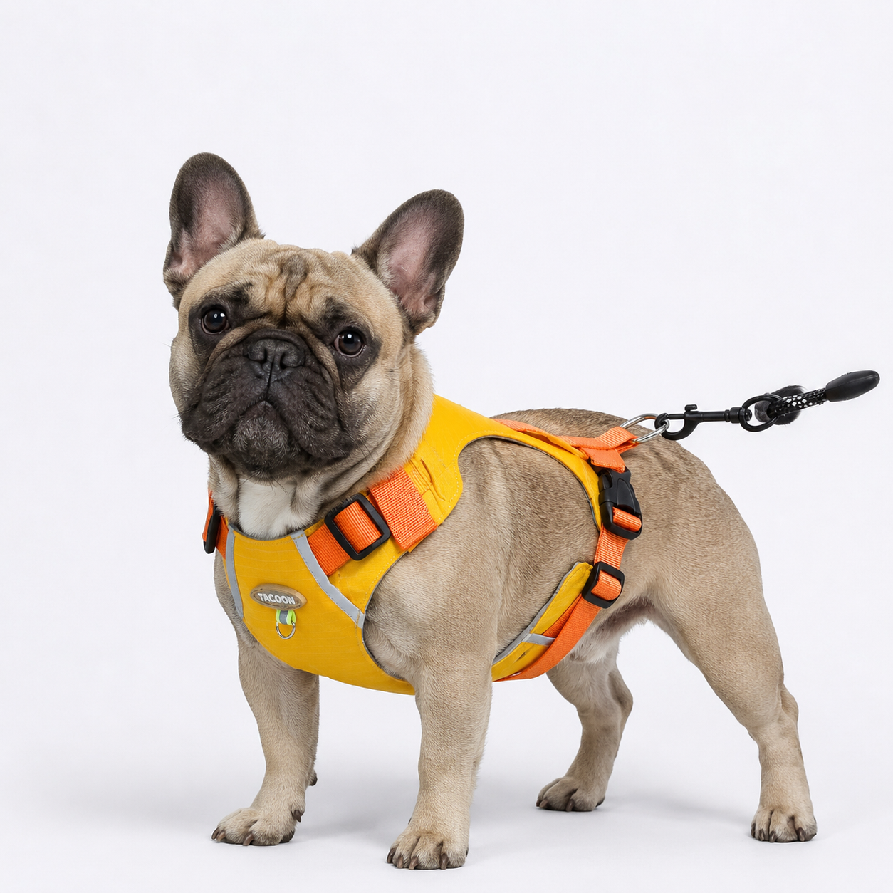 PawTrick-Frenchie-Harness-Bag-Set.jpg