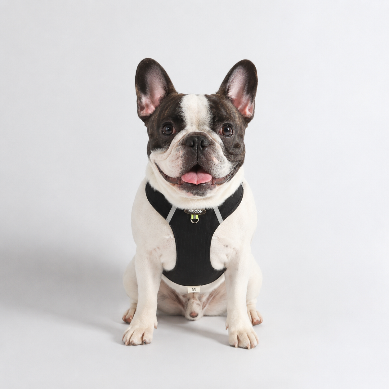 PawTrick-Frenchie-Harness-Bag-Set.jpg