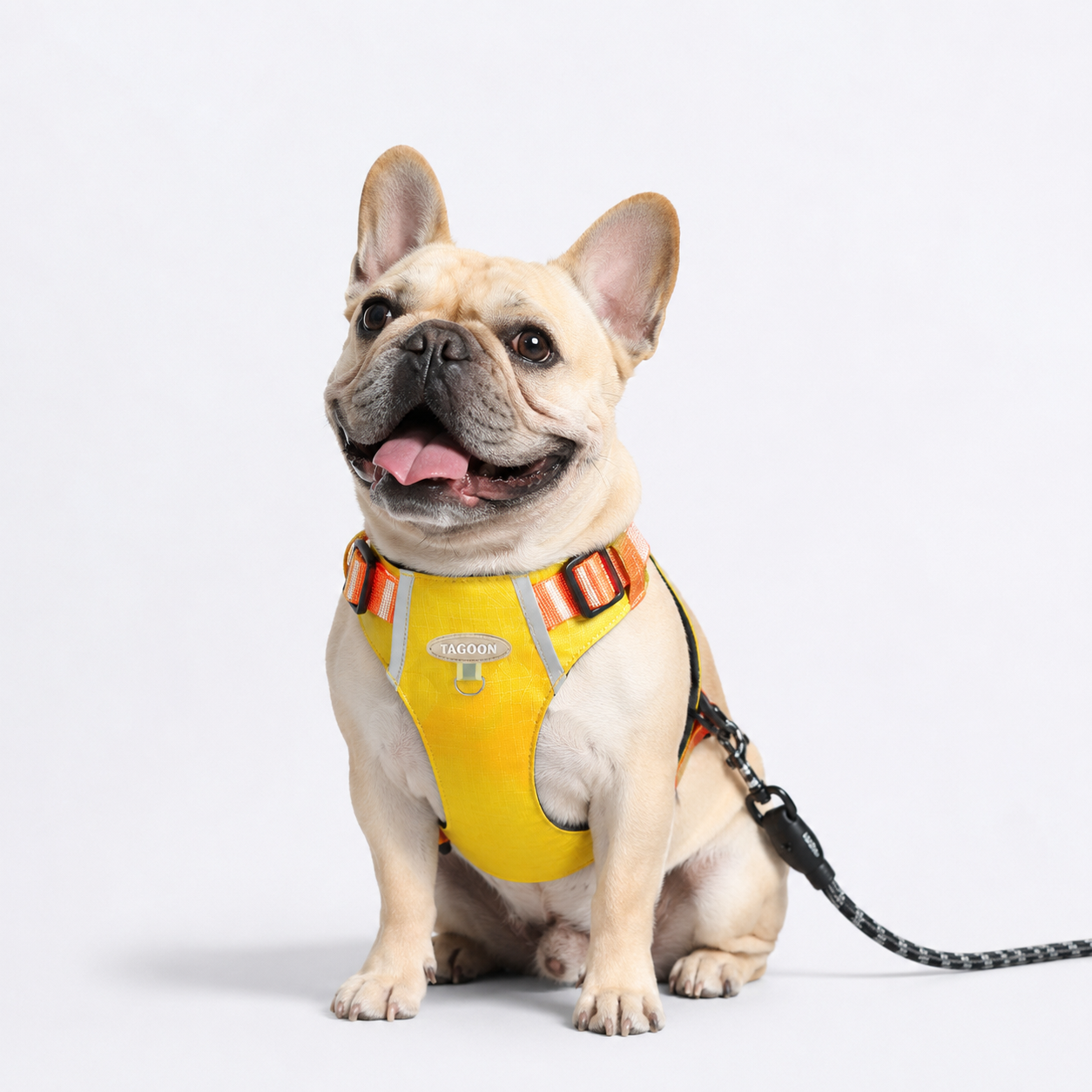 PawTrick-Frenchie-Harness-Bag-Set.jpg
