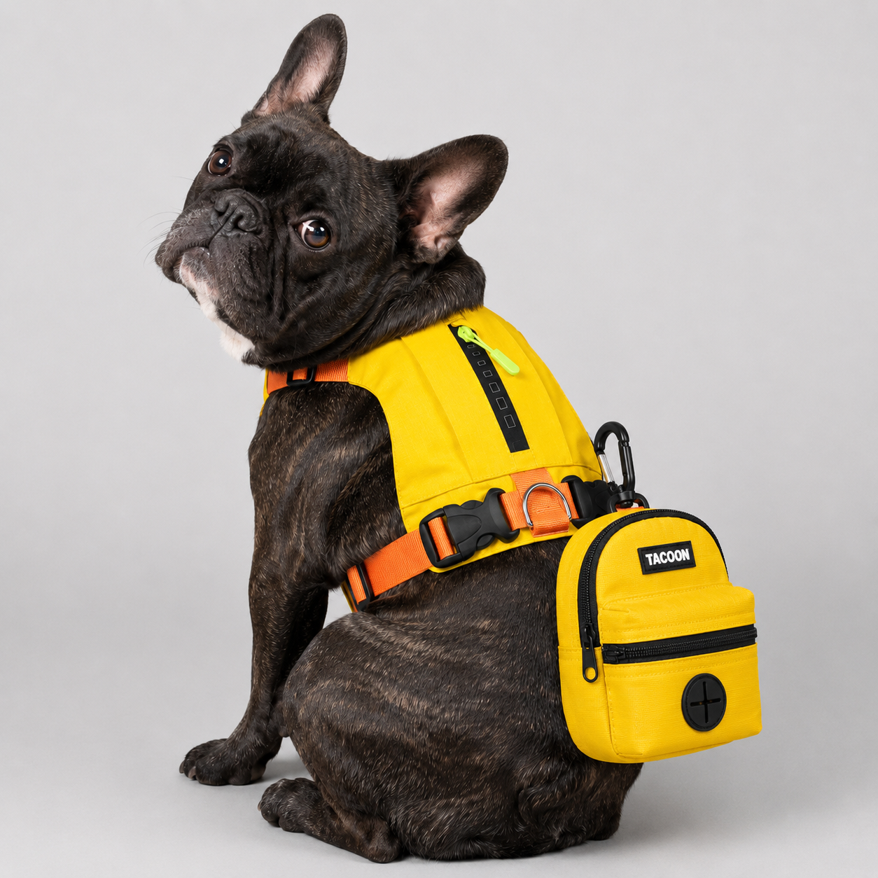 PawTrick-Frenchie-Harness-Bag-Set.jpg