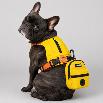 PawTrick-Frenchie-Harness-Bag-Set.jpg