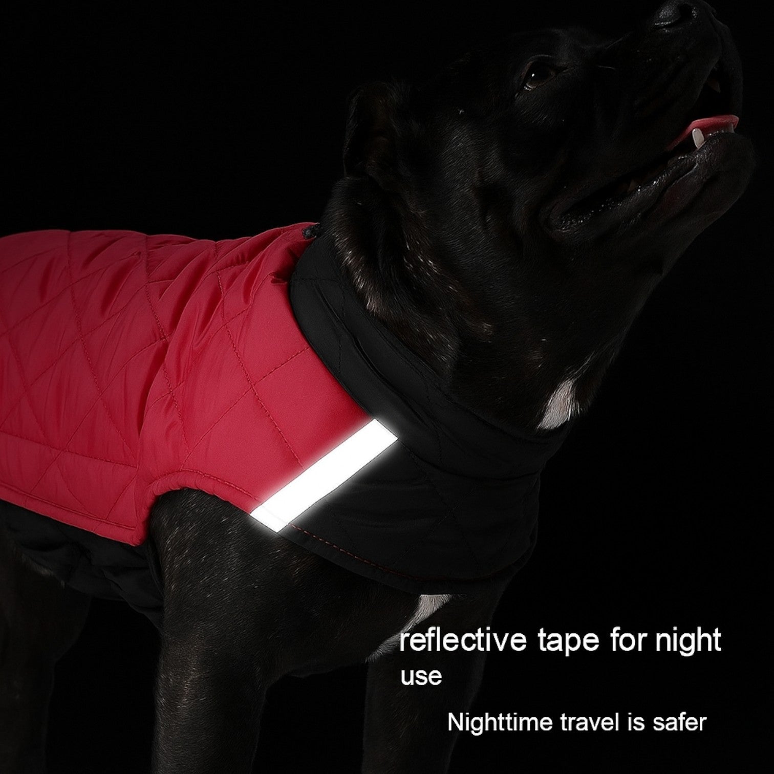 PawVentura™-French-Bulldog-Winter-Jacket.jpg