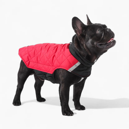 PawVentura™-French-Bulldog-Winter-Jacket.jpg