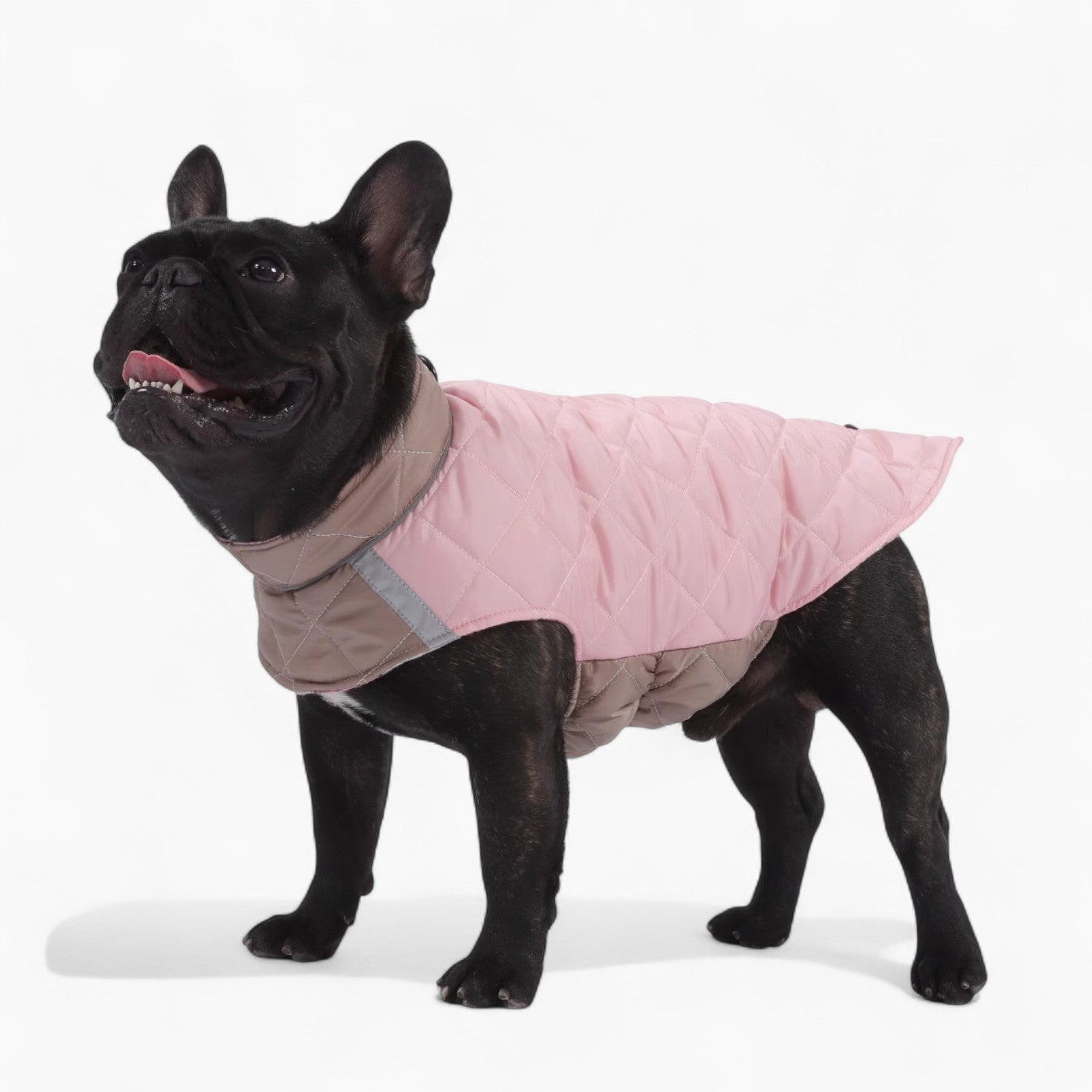 PawVentura™-French-Bulldog-Winter-Jacket.jpg