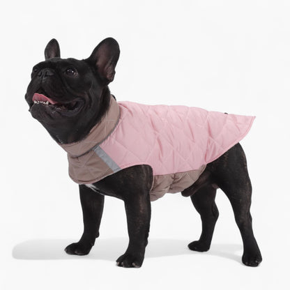 PawVentura™-French-Bulldog-Winter-Jacket.jpg